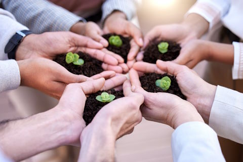 Image showing a cirlc of hands holding small money plants representing long-term value